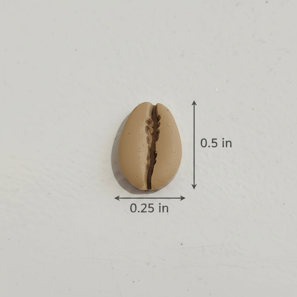 Coffee Bean Seashell Studs