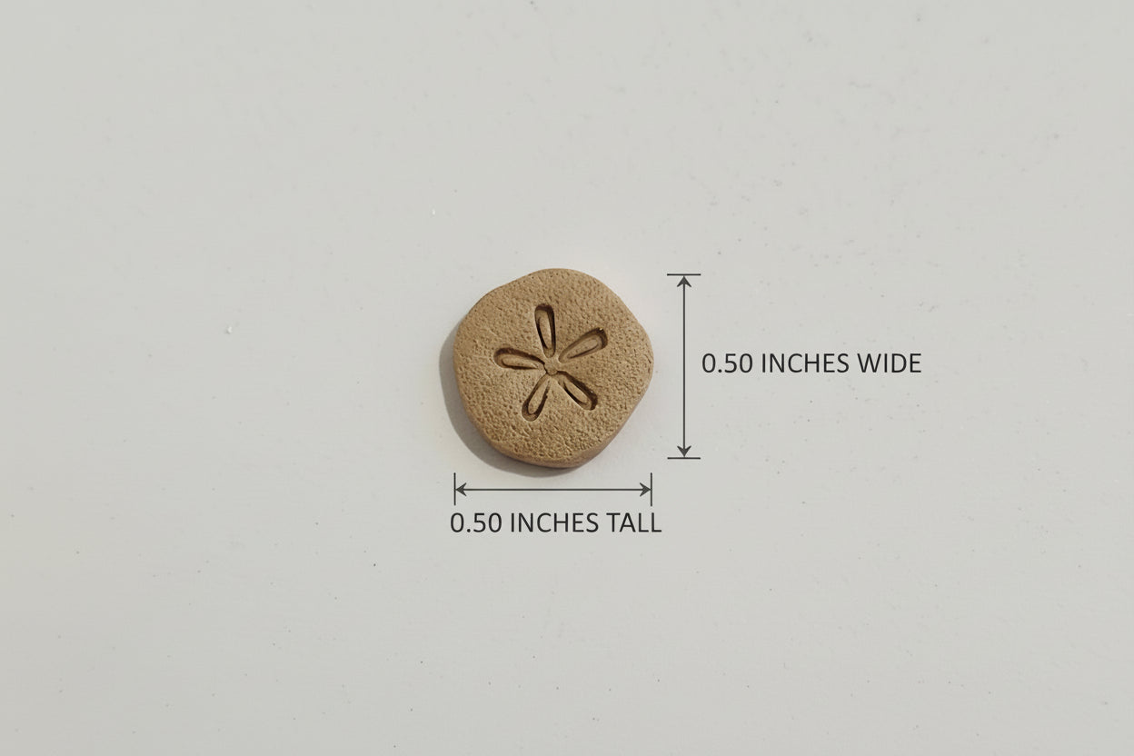 Sand Dollar Studs